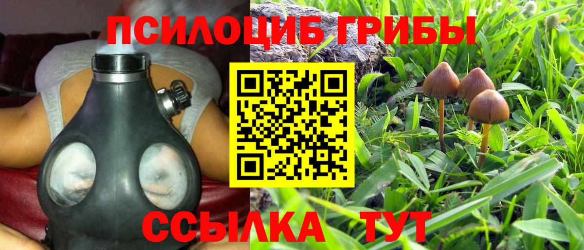 Дальнегорск  Псилоцибиновые грибы Psilocybine cubensis  Галлюциногенные грибы ЛСД  Вход с VPN 